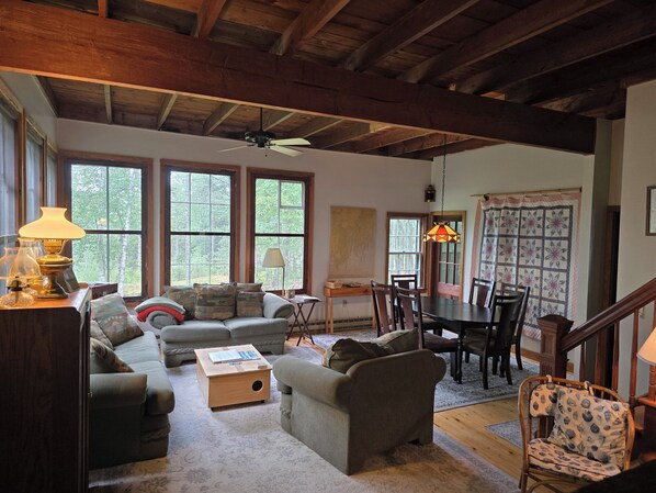 Smart TV, DVD player, books, video library