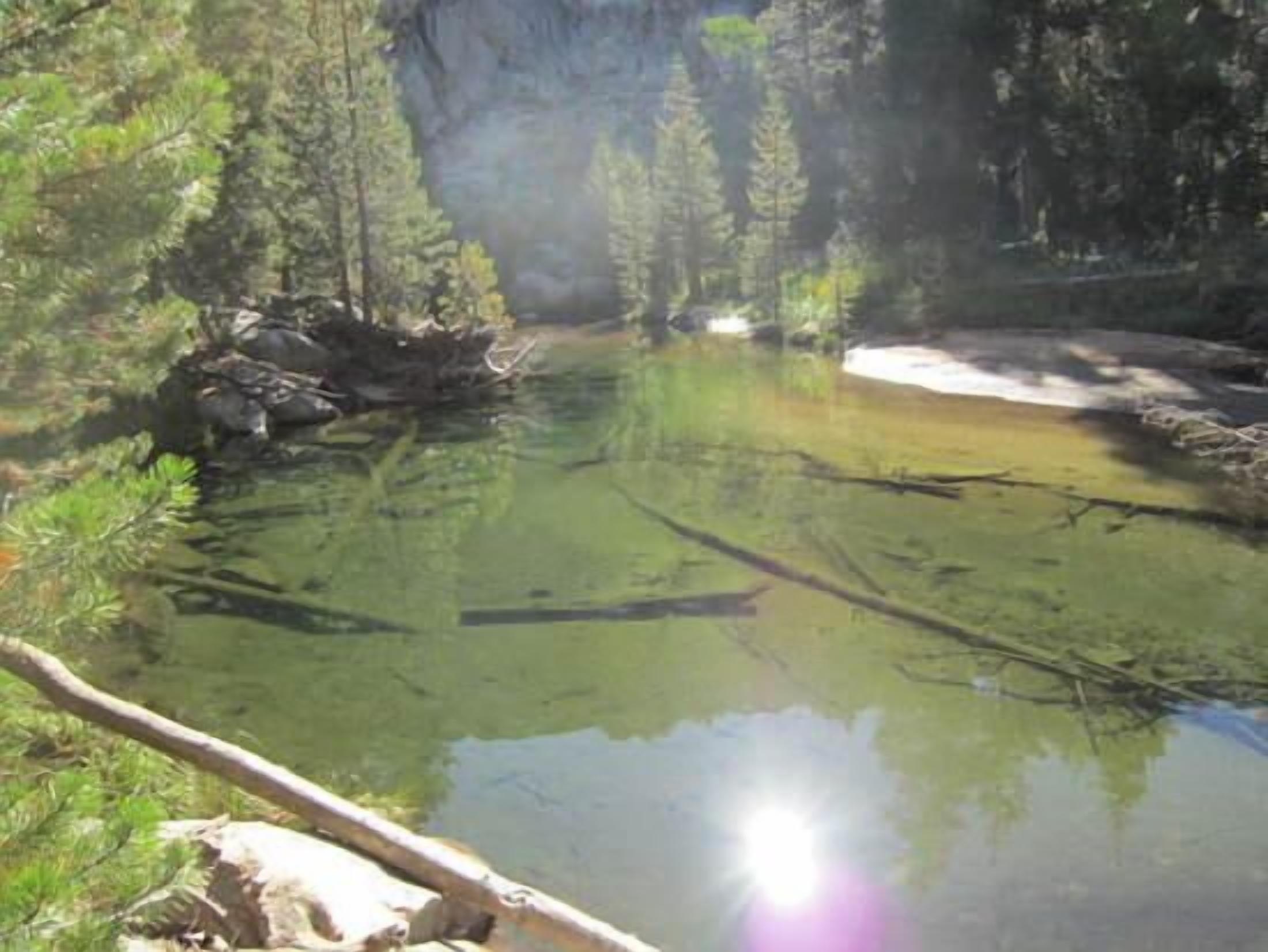 A natural landscape with a clear water body surrounded by trees and rocks.