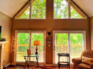 Smart TV, fireplace, DVD player, books