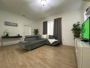 Smart TV, video game console, Netflix, streaming services