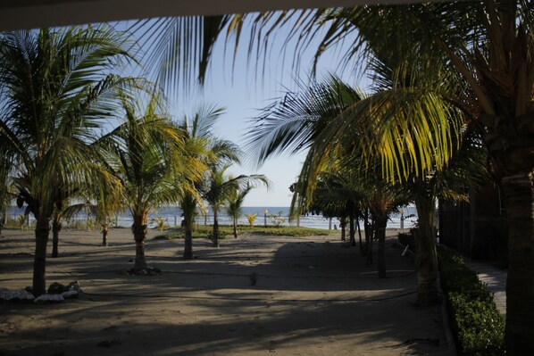 A beach with palm trees and a clear sky.