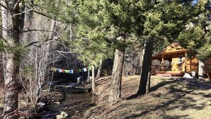 A cabin with a porch, surrounded by trees and a small stream.
