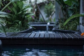 Wellness