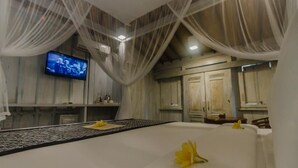 Une chambre comprenant un lit, une télévision et un espace salle de bain.
