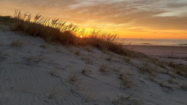Accommodatie ligt op het strand, ligstoelen