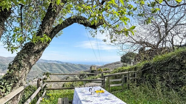 Una mesa de picnic con mantel floreado, con un paisaje montañoso y cielo despejado de fondo.