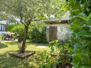 Plante, Bâtiment, Fenêtre, Lot Terre, Paysage Naturel, Arbre, Herbe, Ombre, Suppression Des Plantes Ligneuses