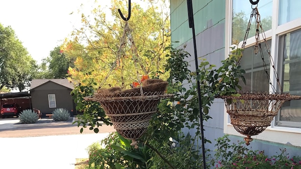 Um jardim com vários vasos de plantas e cestos suspensos.