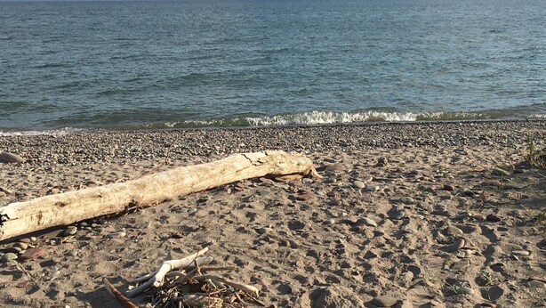 Une plage avec un tronc d’arbre sur le sable et des vagues en arrière-plan.