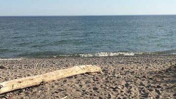 Plage à proximité, chaises longues, serviettes de plage