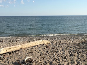 Una platja amb un tronc a la sorra i on es veuen ones de fons.