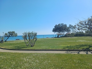 A park with a pathway, benches, trees, and a view of the sea.