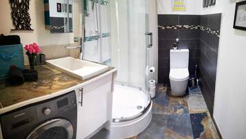 Combined shower/tub, jetted tub, hair dryer, bidet