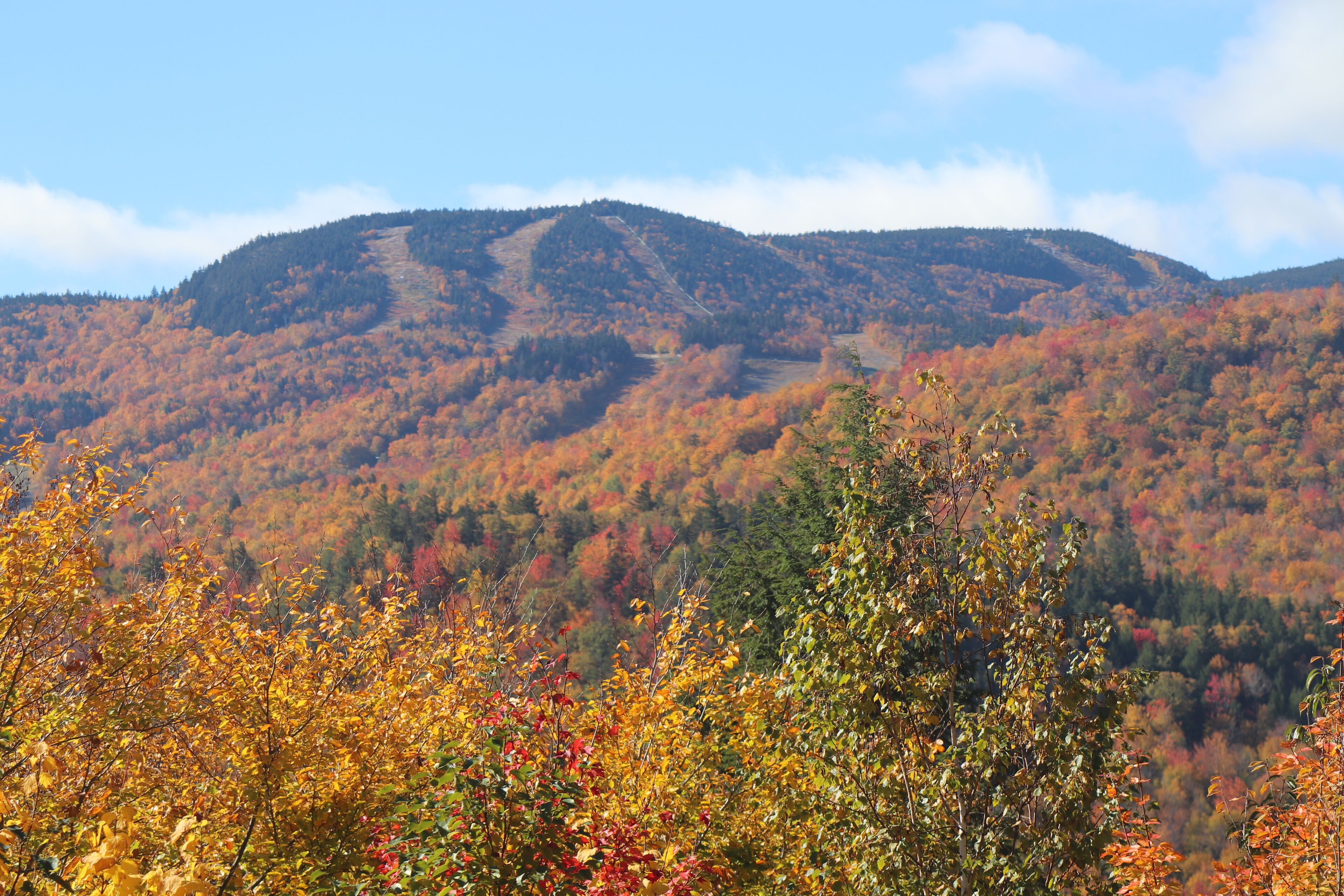 A mountainous landscape with autumn foliage.