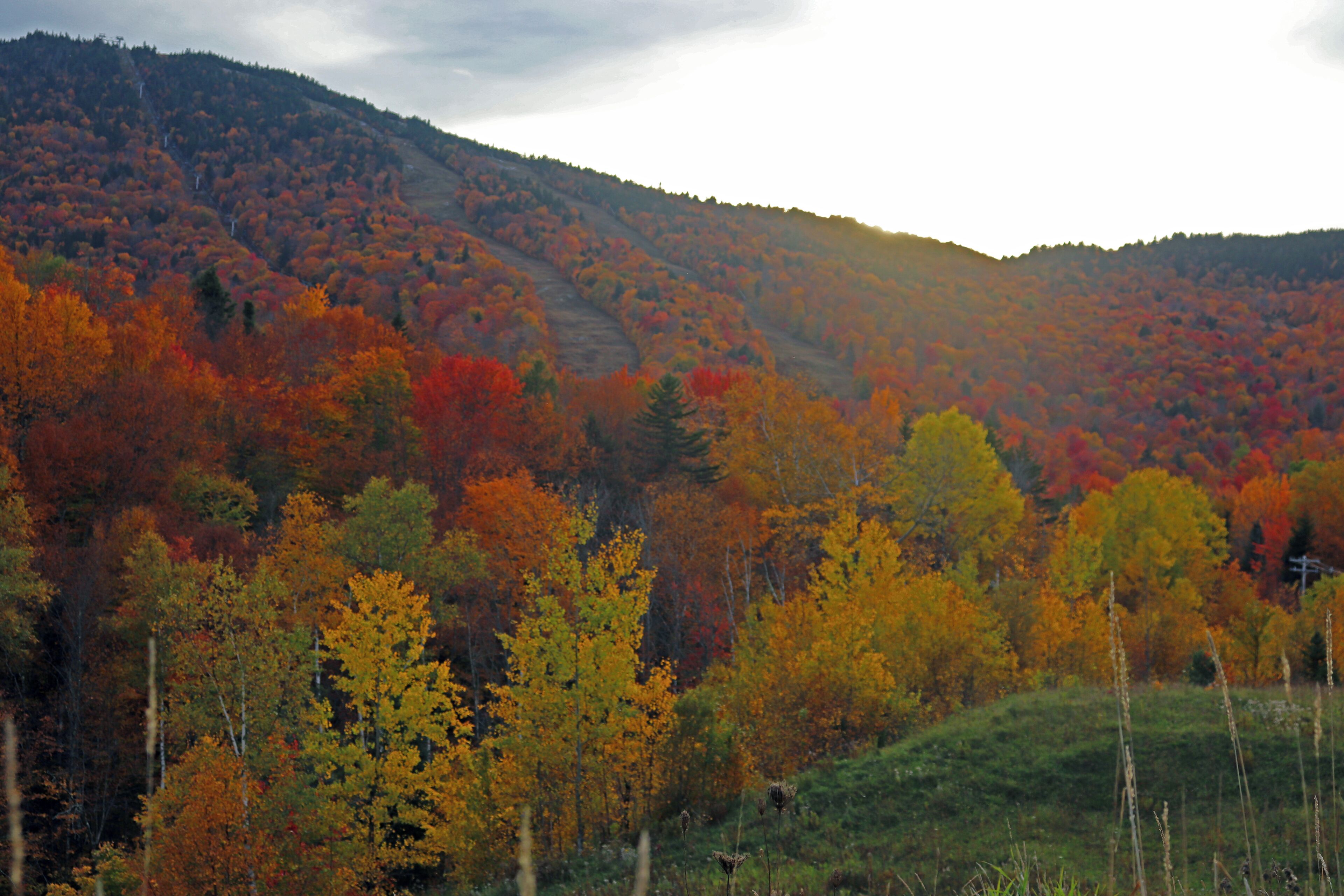 A mountainous landscape with autumn foliage.