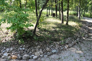 Property grounds - Secluded Mountain Cabin on 50 acres, 5 miles to Buffalo River (Dogpatch)
