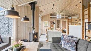 Televisión, chimenea y reproductor de DVD