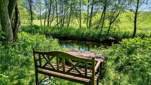 Un banc en bois, installé dans un espace verdoyant et luxuriant, avec un petit ruisseau et des arbres en arrière-plan.