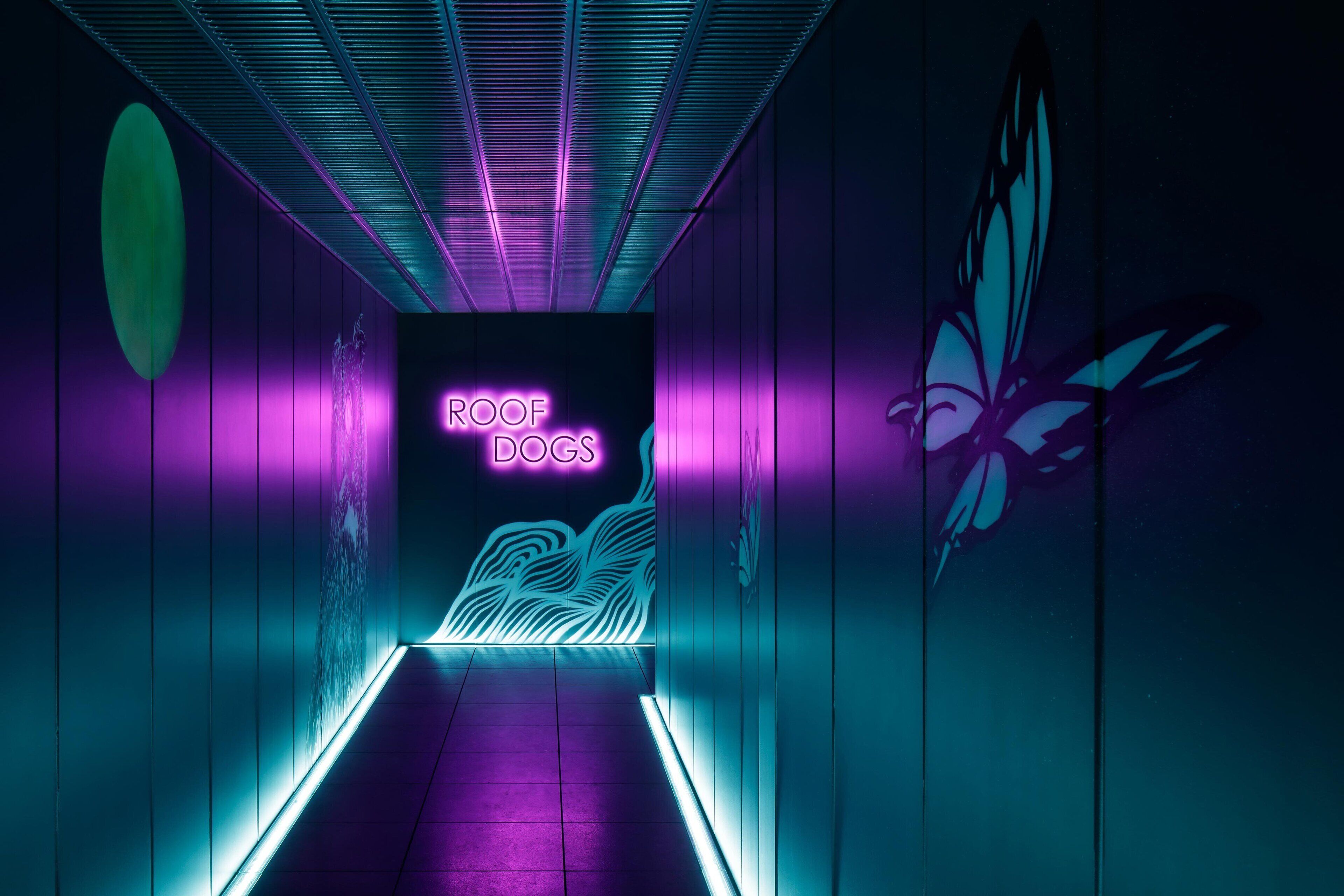 2 bars/lounges, rooftop bar