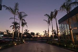 Stroll along the palm-lined walkway to the hotel's main building.