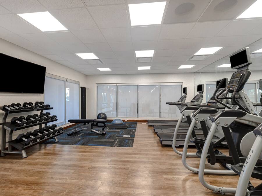 Une salle de sport équipée de tapis de course, d’un banc de musculation et d’une série d’haltères.