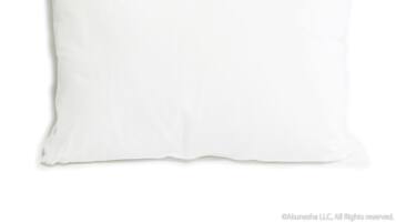 A plain white pillow.