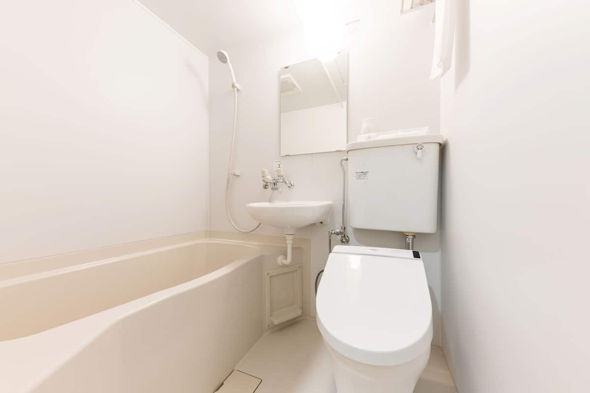 combined shower/bathtub, free toiletries, hair dryer, slippers