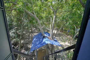 Property grounds - Yuhibuhi Forest Resort (Eravur Pattu)