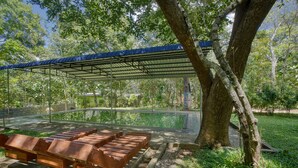 Un espace extérieur abrité, avec des bancs, un arbre et une piscine.