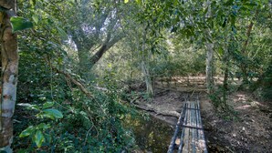 Un pont en bois enjambant un ruisseau dans une zone boisée.