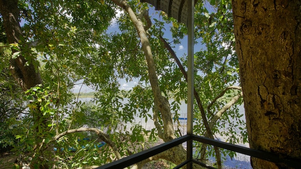 Une vue depuis un balcon doté d’une balustrade, donnant sur une étendue d’eau et des arbres.