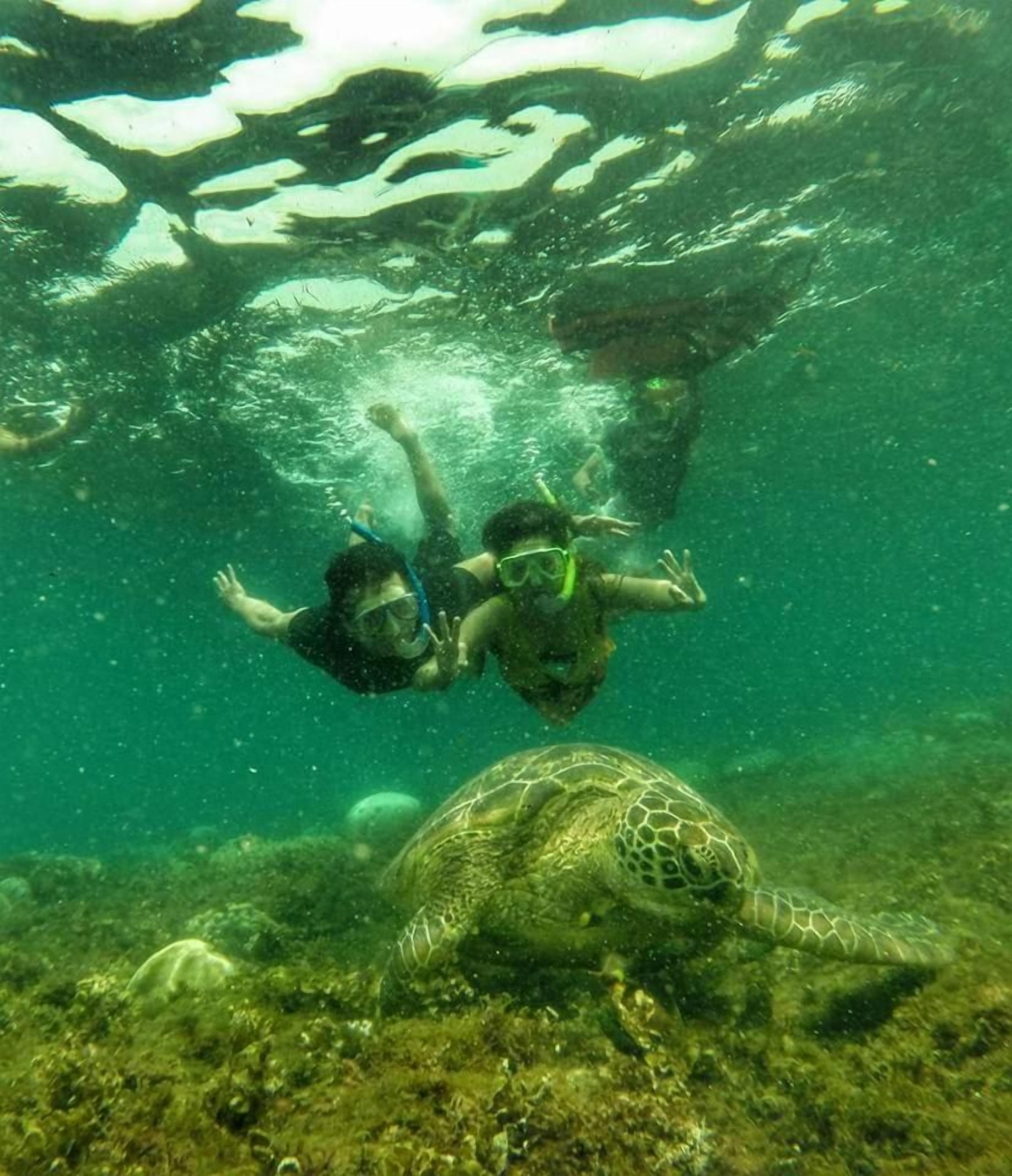 An underwater scene with two divers and a sea turtle.