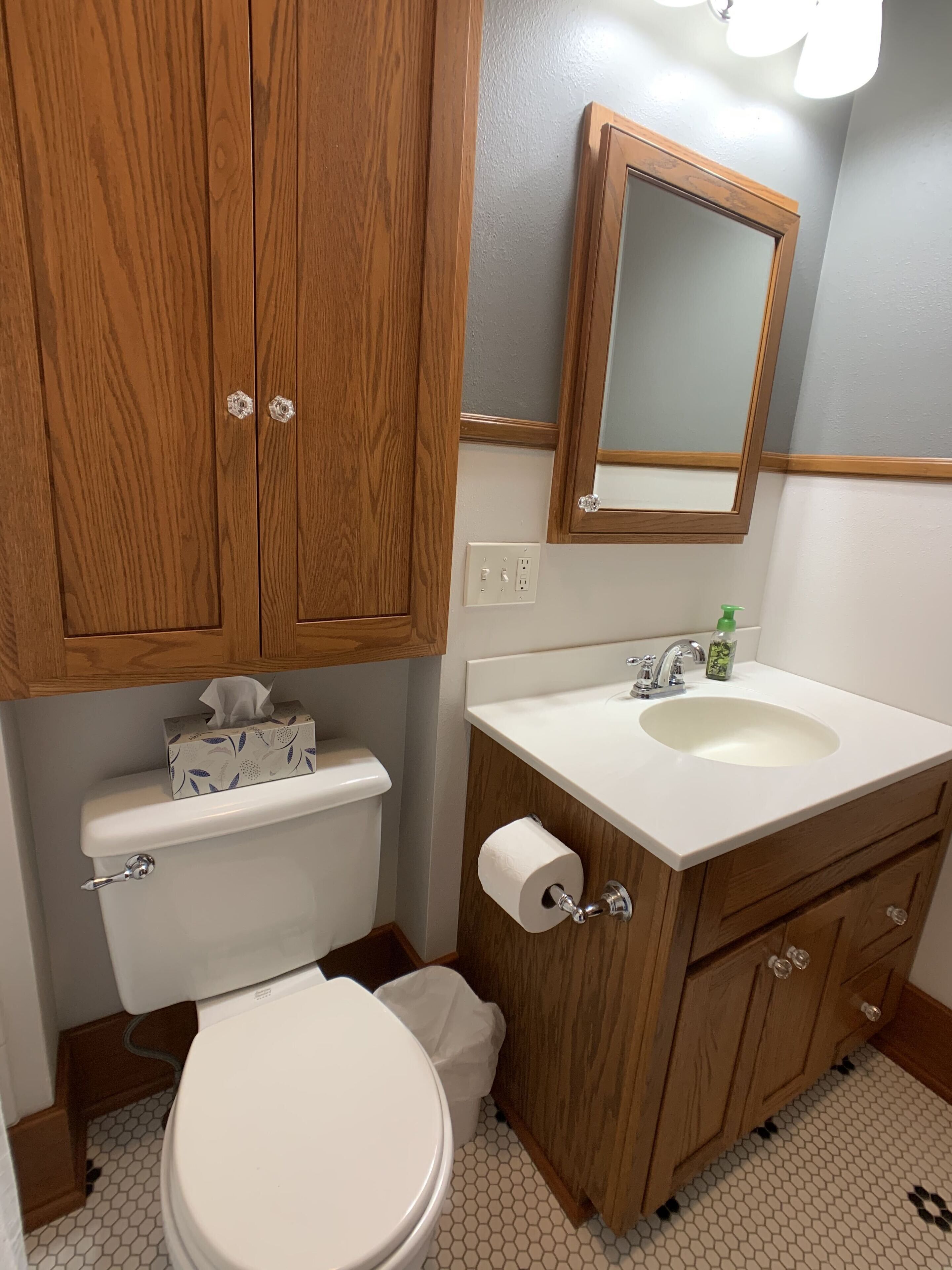 A bathroom with wooden cabinets, a toilet, a sink, and a mirror.