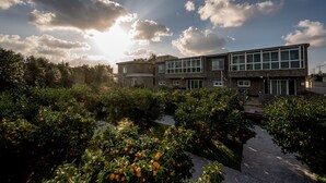 Un edificio moderno de dos pisos con ventanas amplias y fachada de piedra, rodeado de abundante vegetación y naranjos.