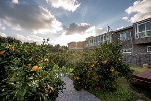 Ein modernes Gebäude mit großen Fenstern und einer steinernen Fassade, umgeben von üppigen Orangenbäumen.