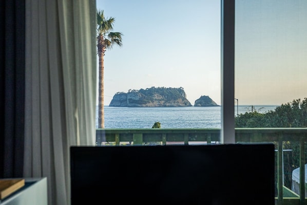 Room (8py) | View from room