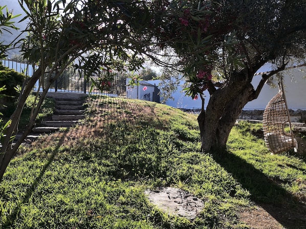 Jardí