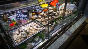 Een visvitrine met diverse zeevruchten, waaronder oesters en garnalen, met zichtbare prijzen.