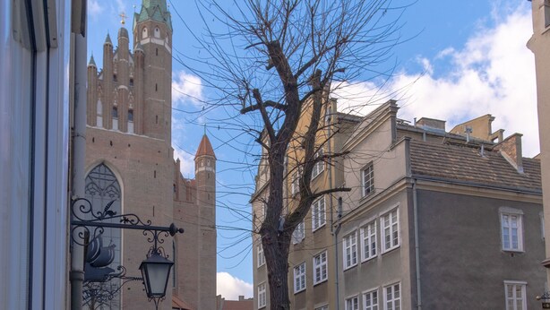 Una estrecha calle adoquinada con edificios históricos, una imponente torre de iglesia y un árbol sin hojas.