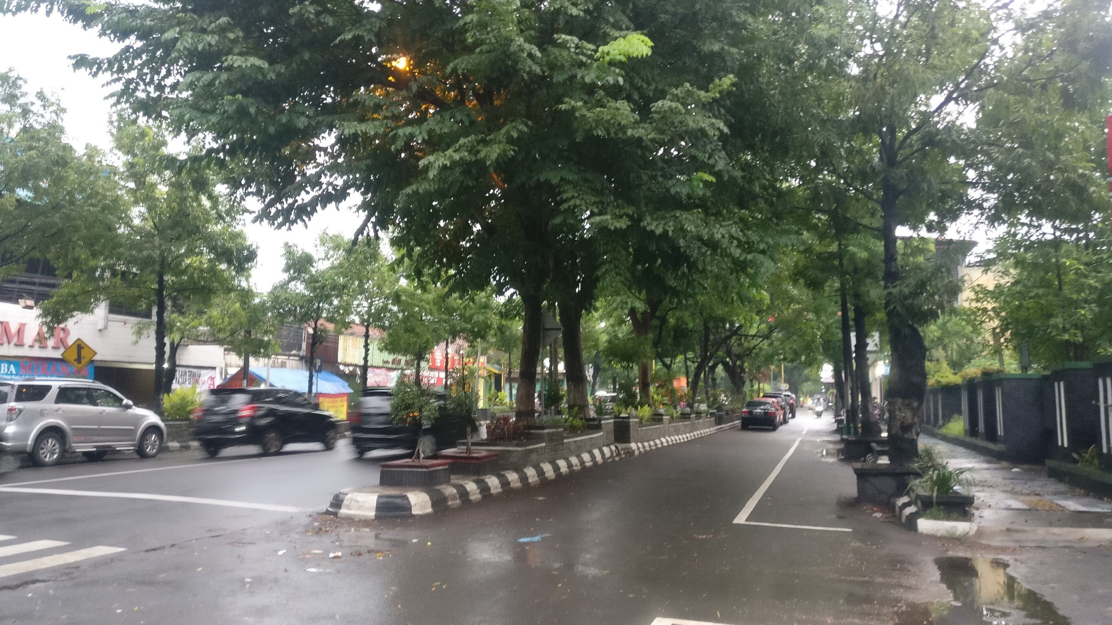 A street lined with trees and parked cars.