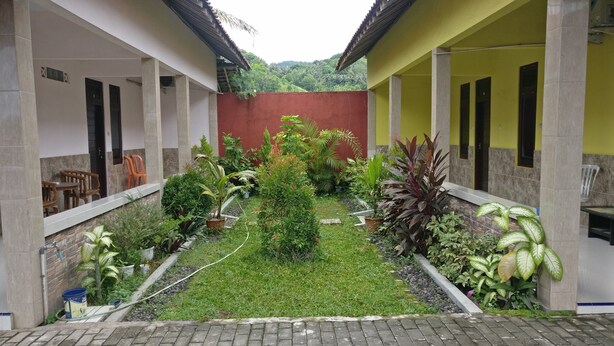 Un patio con un área central cubierta de césped, rodeado de plantas en macetas y un sendero de ladrillo.