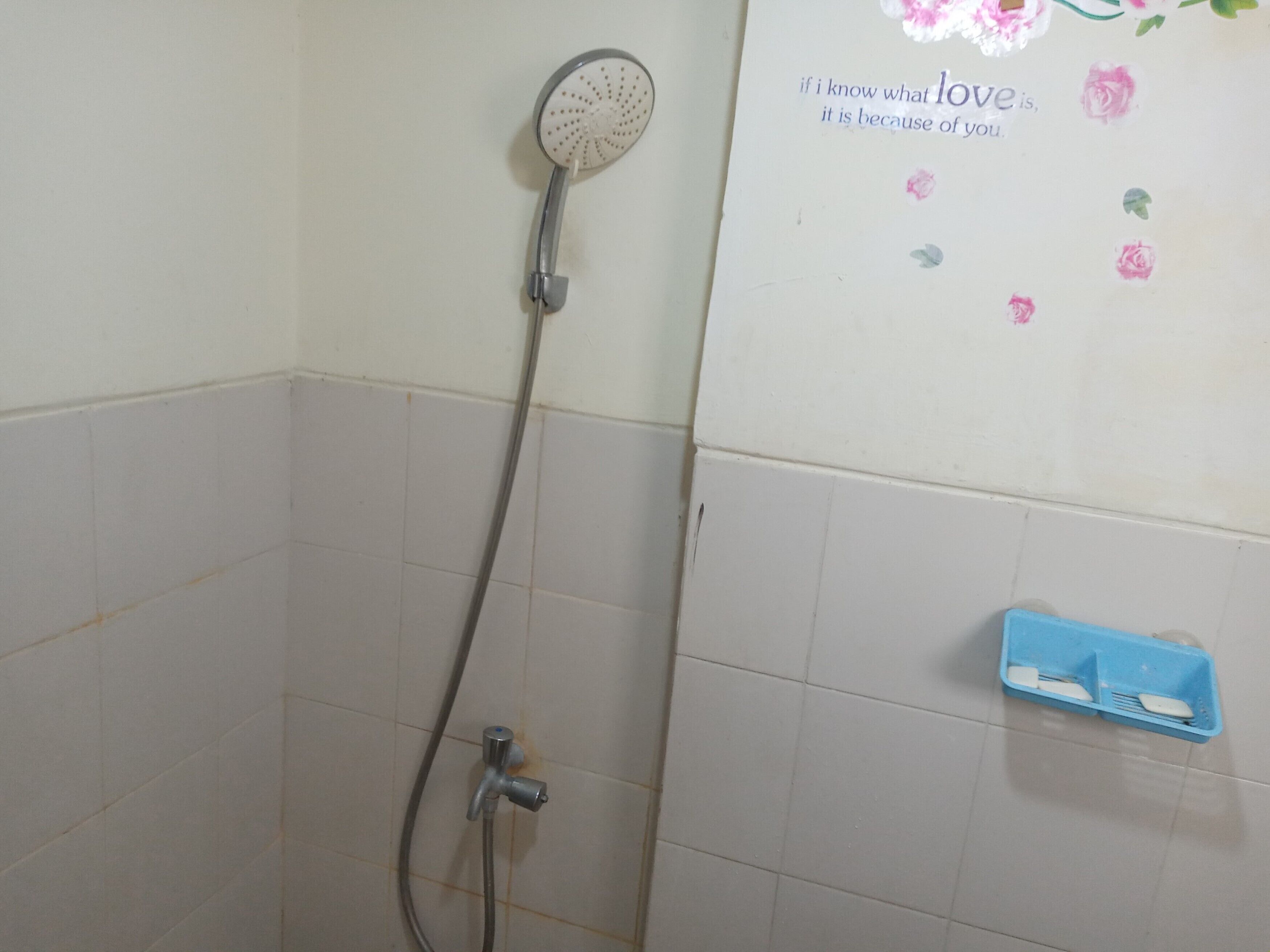 A shower area with a handheld showerhead, a wall-mounted faucet, and a blue soap dish.