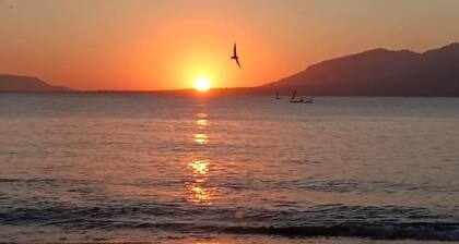 Banyuwangi Sunrise Homestay