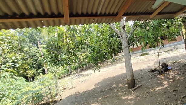 Garden - Homestay Mbak Nur (Sleman)
