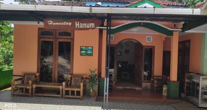 Homestay Hanum