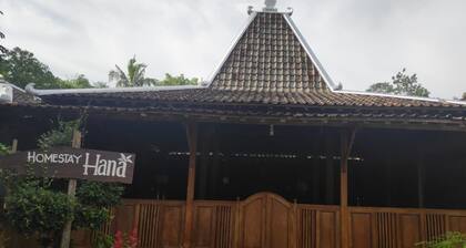 Homestay Hana
