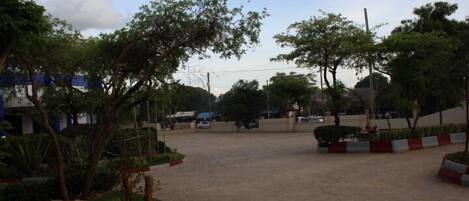 Un espacio pavimentado abierto con árboles y un edificio al fondo.