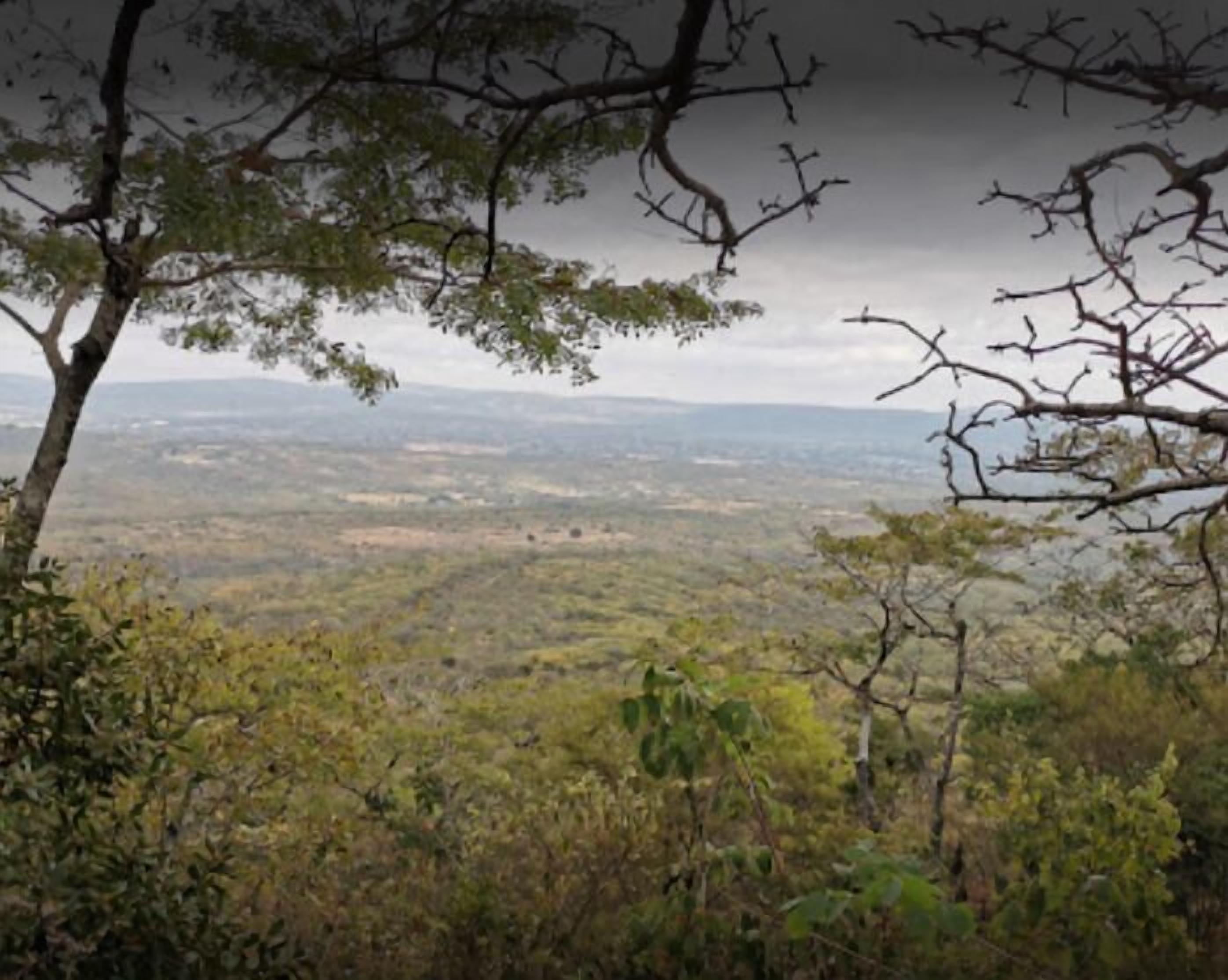 A view from a high vantage point overlooking a valley with dense vegetation and a distant cityscape.