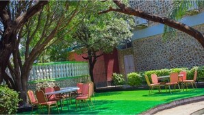 An outdoor seating area with a table and chairs, surrounded by greenery and a stone wall. - Royal Village Hotel Company (Dodoma)