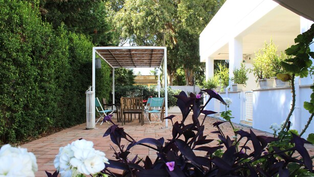 Un patio cubierto con una mesa y sillas, rodeado de exuberante follaje y plantas en macetas.